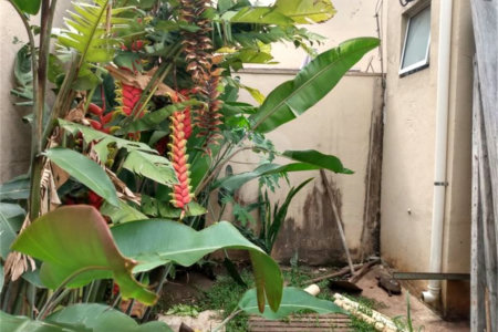 Sobrado à venda com 3 suítes em Jardim Colombo, São Paulo, SP