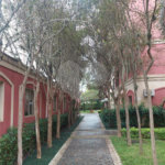 Apartamento à venda com 3 quartos em Mandaqui, São Paulo, SP