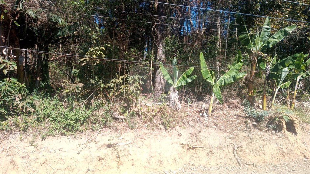 Terreno à venda em Serra da Cantareira, Mairiporã, SP