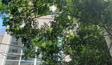 Apartamento à venda com 3 suítes em Jardim Fonte do Morumbi, São Paulo, SP