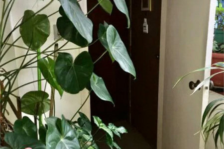 Apartamento à venda com 2 quartos em Pinheiros, São Paulo, SP