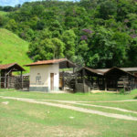 Fazenda à venda com 7 quartos, sendo 3 suítes, em Professor Souza, Casimiro de Abreu, RJ