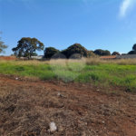Terreno à venda em Jardim Brasília (vila Xavier), Araraquara, SP