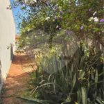 Casa térrea no Centro