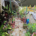 Casa à venda com 5 quartos em Andaraí, Rio de Janeiro, RJ