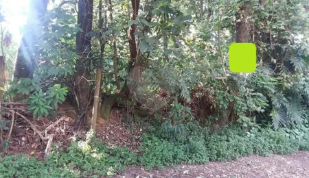 Terreno à venda em Tremembé, São Paulo, SP