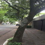 Sobrado à venda com 4 quartos, sendo 3 suítes, em Brooklin, São Paulo, SP