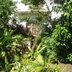 Casa à venda com 3 suítes em Jardim Leonor, São Paulo, SP