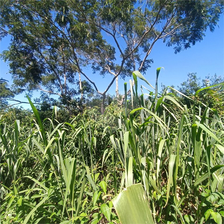 Terreno à venda em Caravelas, Armação dos Búzios, RJ