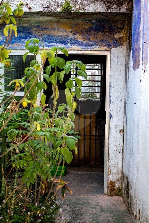 Terreno à venda com 3 quartos no condomínio Terreno com Casa, São Paulo - SP