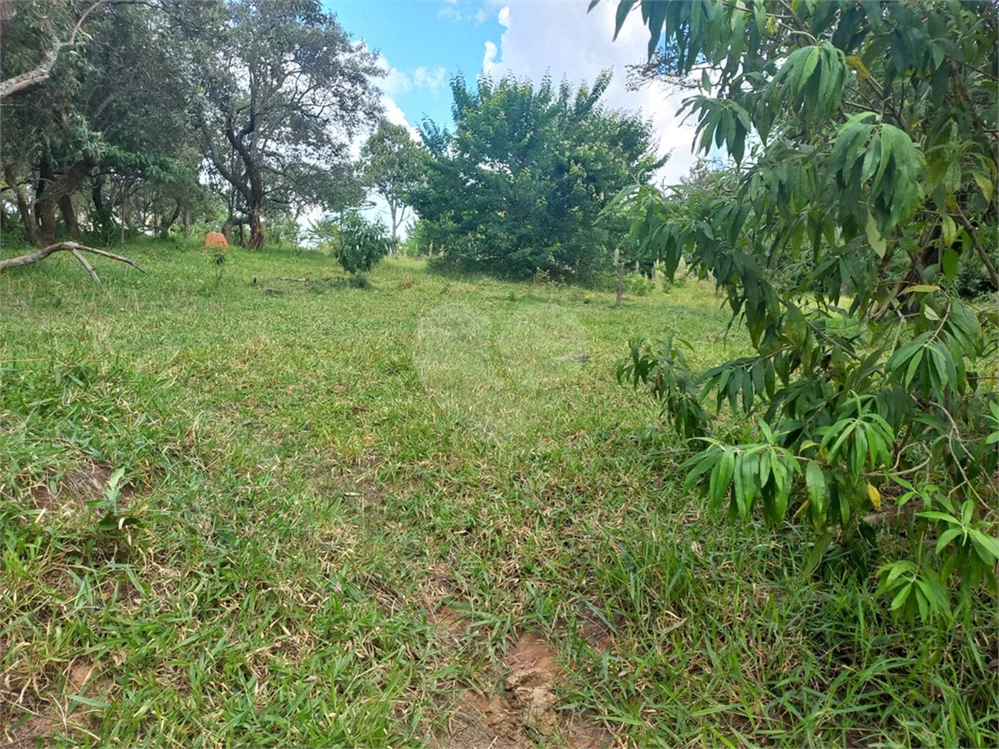 Terreno à venda em Chácaras do Guacuri, Itupeva, SP