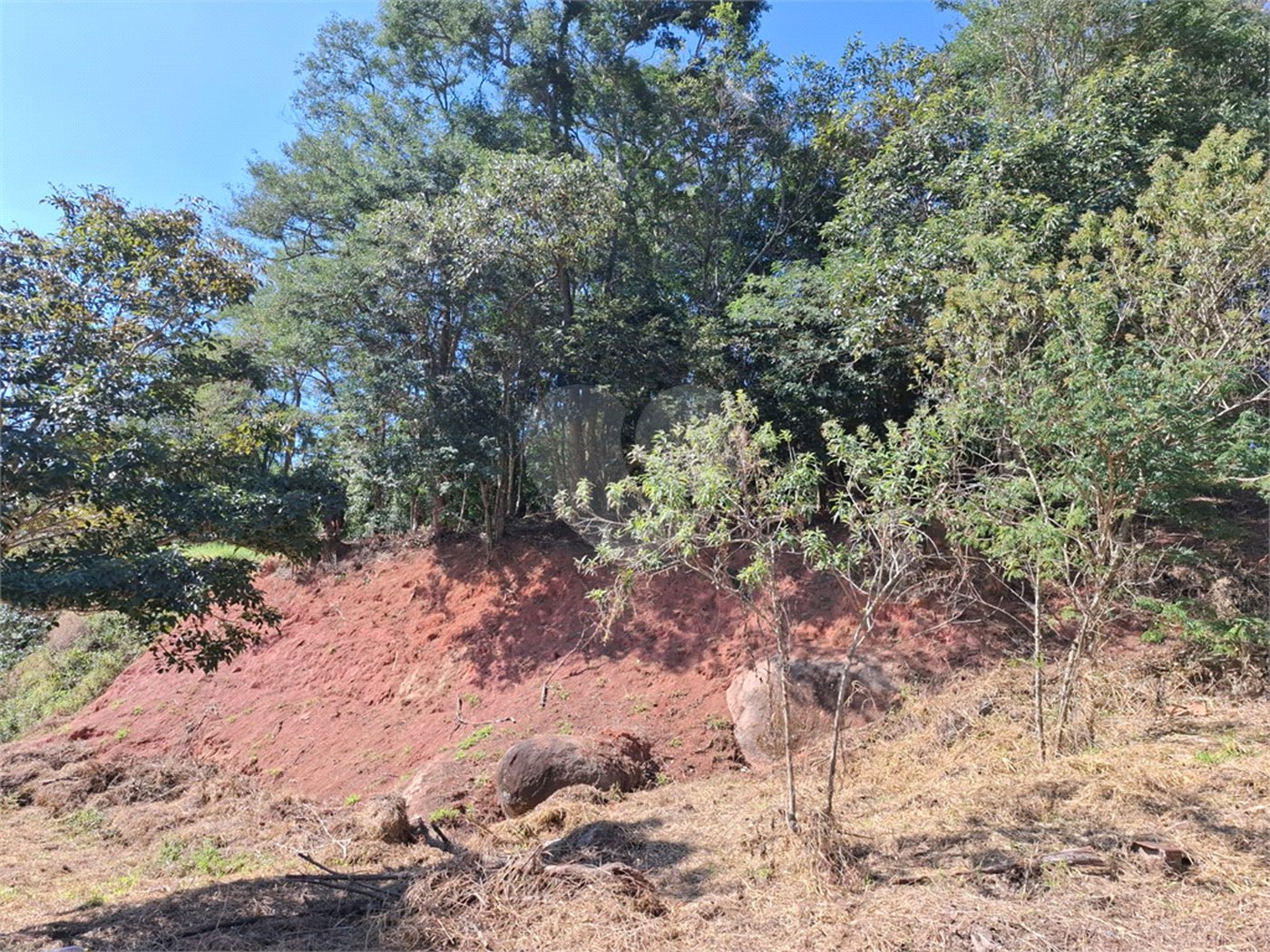Terreno à venda em Horto Florestal, São Paulo, SP
