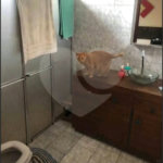 Casa à venda com 3 quartos, sendo 1 suíte,  em Jardim Santa Júlia (vila Xavier), Araraquara, SP