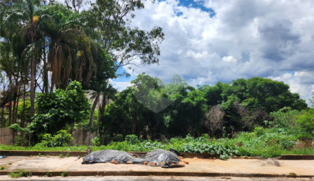 Terreno à venda em Jardim do Carmo, Araraquara, SP