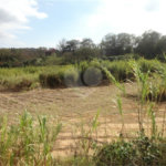 Terreno à venda ou para alugar em Cachoeira, Vinhedo, SP