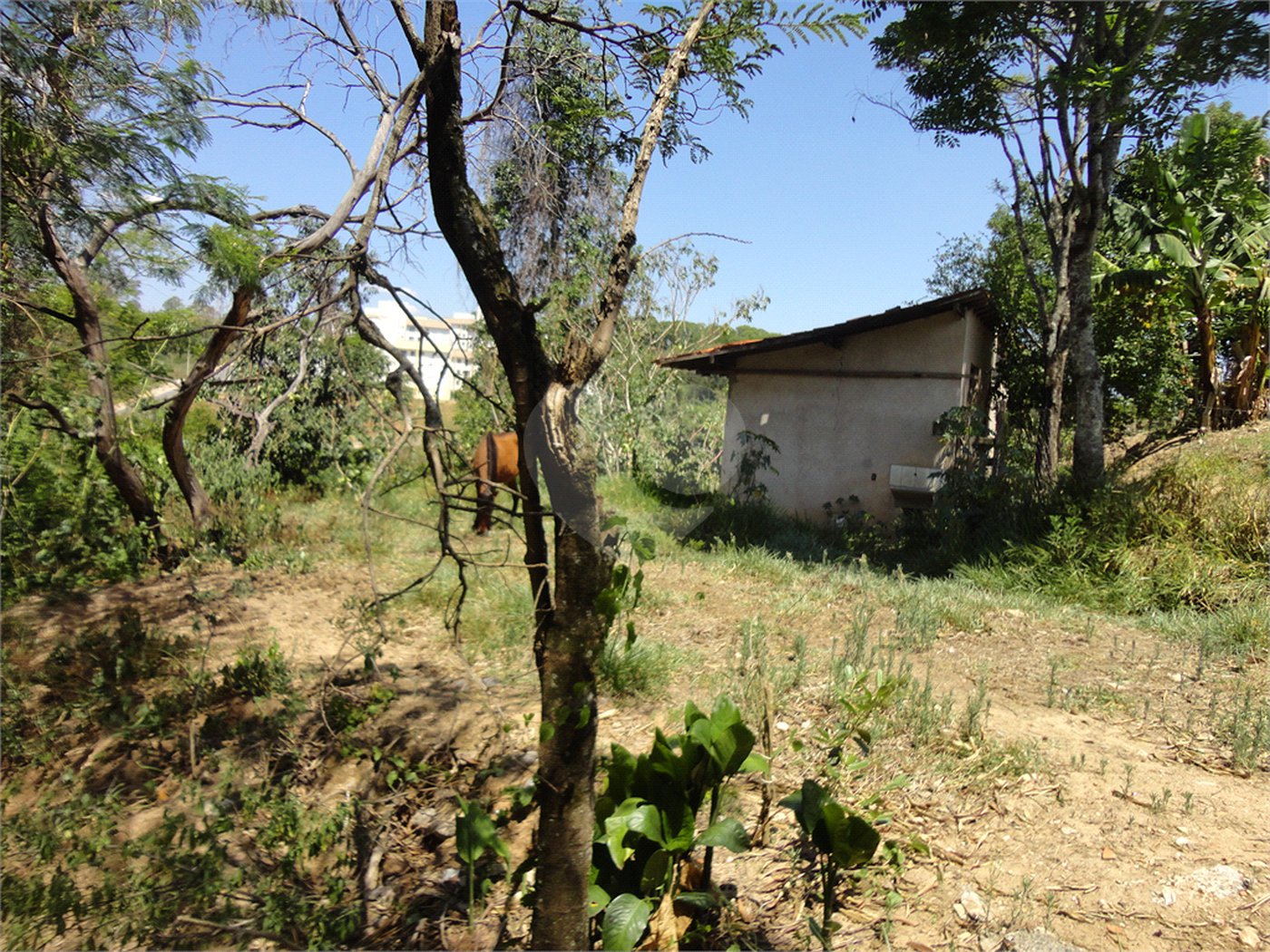 Chácara à venda com 4 quartos em Vista Alegre, Vinhedo, SP
