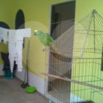 Casa Térrea à venda com 3 quartos, sendo 1 suíte, em Tremembé, São Paulo, SP