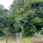 Chácara à venda em Sorocamirim (canguera), São Roque, SP