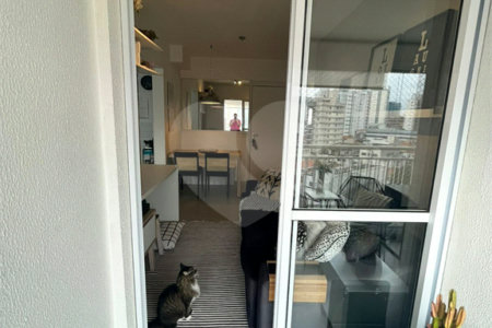 Apartamento à venda com 1 quarto em Vila Guarani (z Sul), São Paulo, SP