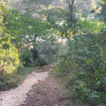 Terreno à venda em Serra da Cantareira, Mairiporã, SP