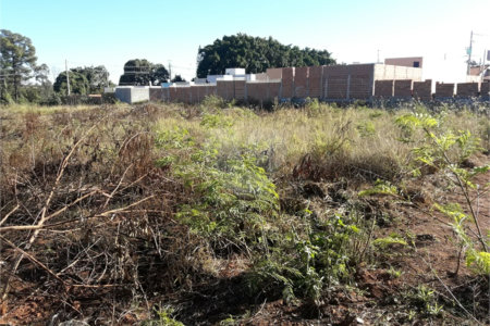 Vendo Terreno no Parque Industrial em São Carlos SP