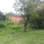 Terreno para alugar em Jardim Rene, São Roque, SP