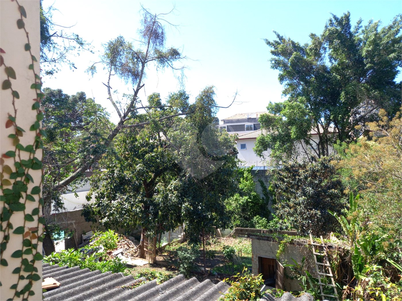 Terreno à venda em Vila Albertina, São Paulo, SP