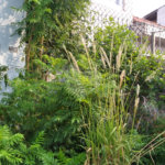 Terreno à venda em Vila Nivi, São Paulo, SP