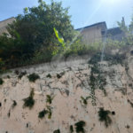 Terreno à venda em Vila Mazzei, São Paulo, SP