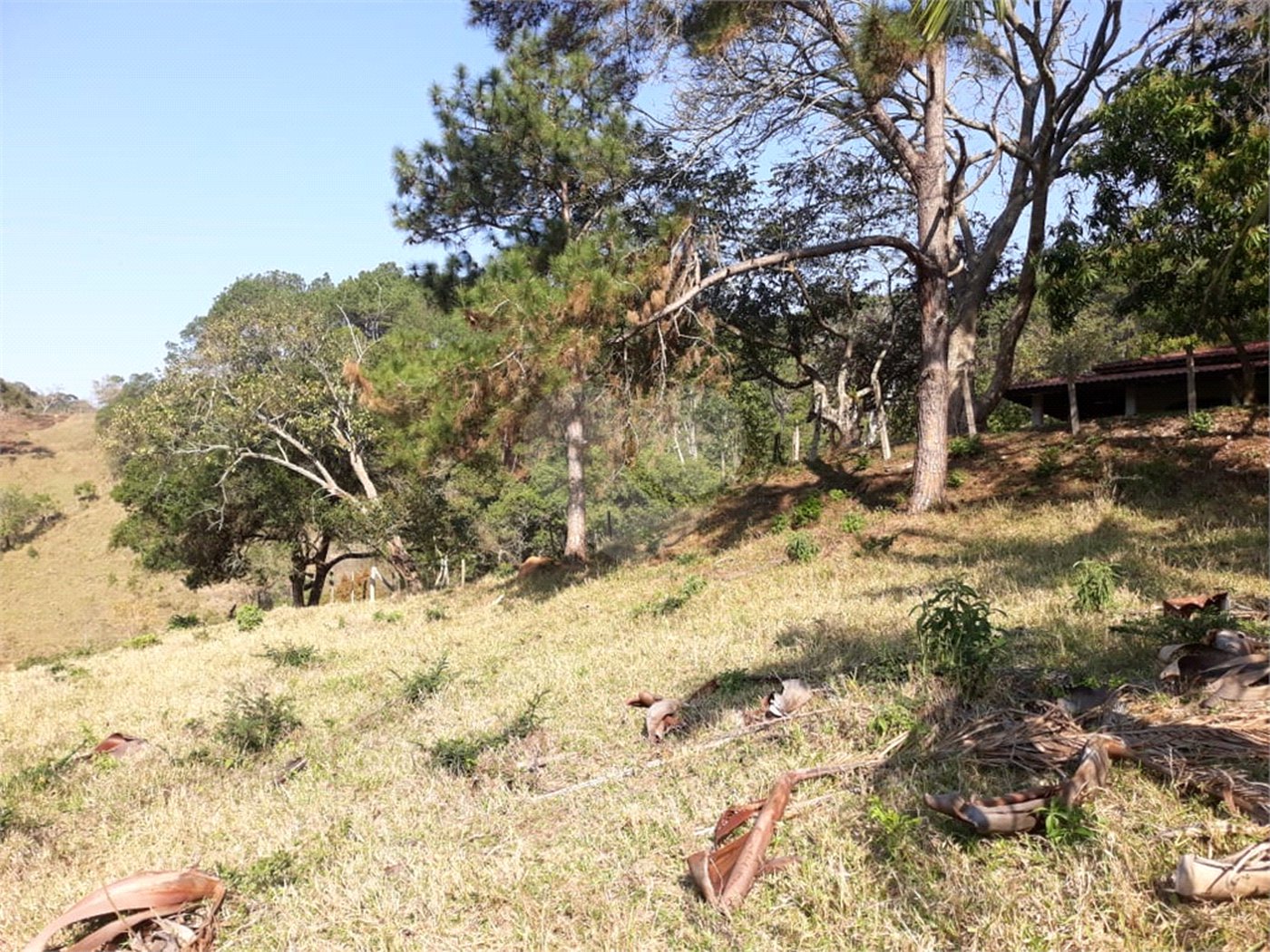 Sítio à venda com 3 quartos em Bairro do Cambará, São Roque, SP
