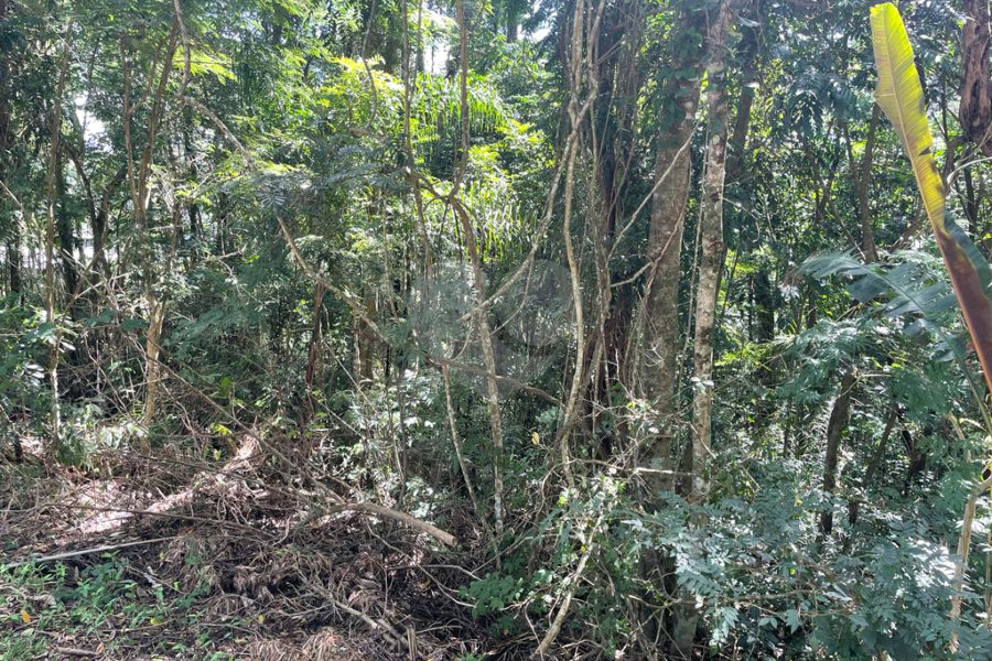 Terreno à venda no condomínio Cantareira, Mairiporã - SP