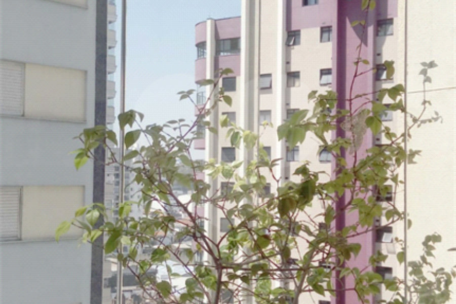 Apartamento à venda com 3 quartos, sendo 1 suíte, em Casa Verde, São Paulo, SP