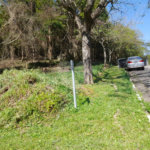 Loteamento à venda em Serra da Cantareira, São Paulo, SP