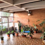 Sobrado à venda com 3 suítes em Vila Gustavo, São Paulo, SP