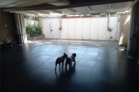 Sobrado à venda com 3 suítes em Jardim Franca, São Paulo, SP