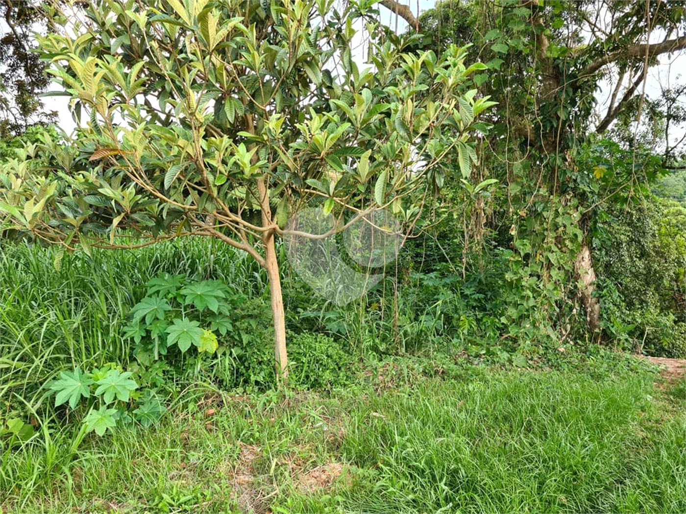 Terreno à venda no condomínio Gleba B1, Mairiporã - SP