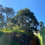 Terreno à venda em Luiz Fagundes, Mairiporã, SP