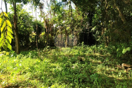 Casa à venda com 4 quartos em Capela, Vinhedo, SP