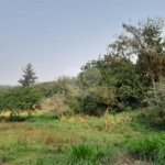 Terreno à venda em Abadia, Louveira, SP