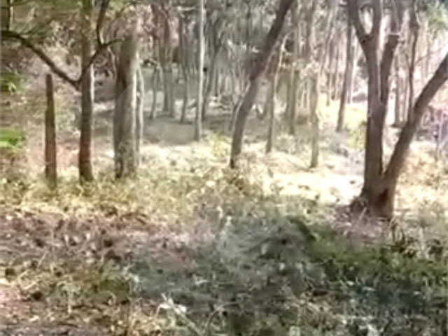 Terreno à venda em Luiz Fagundes, Mairiporã, SP