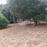 Terreno à venda em Vila Judite, Itapetininga, SP