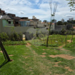 Apartamento à venda ou para alugar com 3 suítes em Tucuruvi, São Paulo, SP