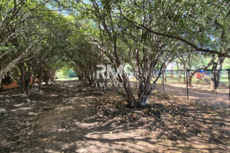 Casa à venda ou para alugar com 3 suítes em Jardim Theodora, Itu, SP