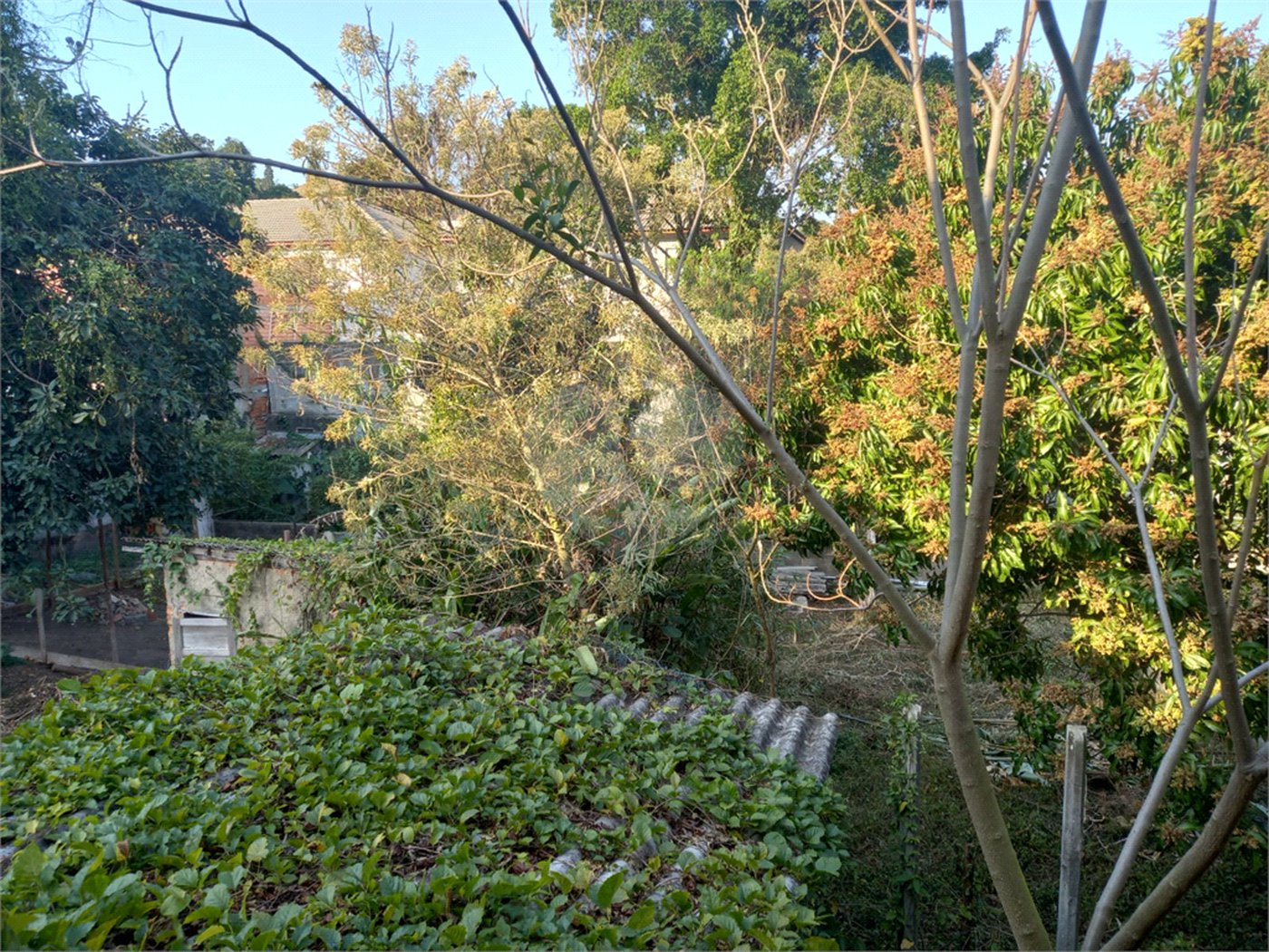 Terreno à venda em Tremembé, São Paulo, SP