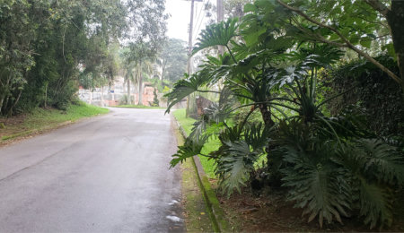 Condomínio à venda em Serra da Cantareira, Mairiporã, SP