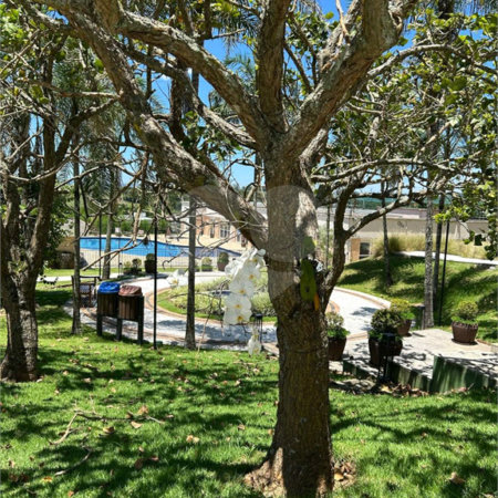Apartamento à venda com 2 suítes em Vila Oliveira, Mogi das Cruzes, SP
