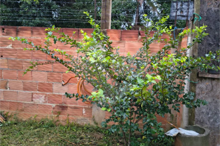 Terreno à venda em Campo Grande, Rio de Janeiro, RJ