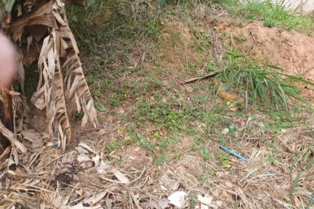 Terreno à venda em Vila Indiana, São Paulo, SP