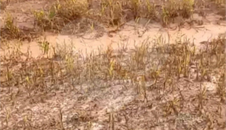 Terreno à venda no condomínio Mosaico Horizontes, Mogi das Cruzes - SP