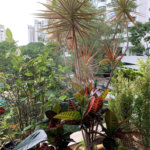 Apartamento à venda com 4 quartos, sendo 2 suítes, em Real Parque, São Paulo, SP